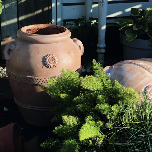 Vintage Terracotta Planter With Drainage Hole Indoor Decor